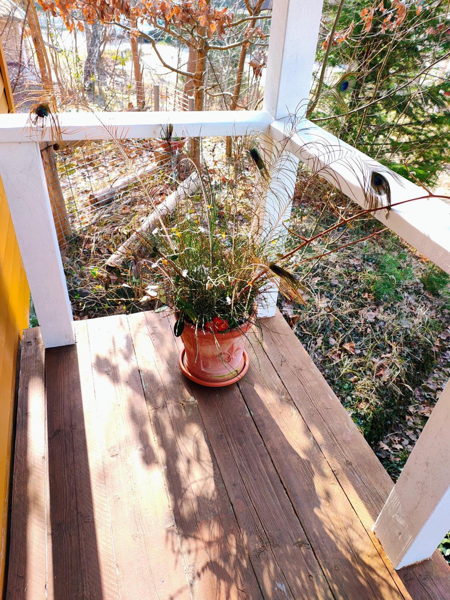 Villa Zu Haus In Der Ferne à Baabe Extérieur photo